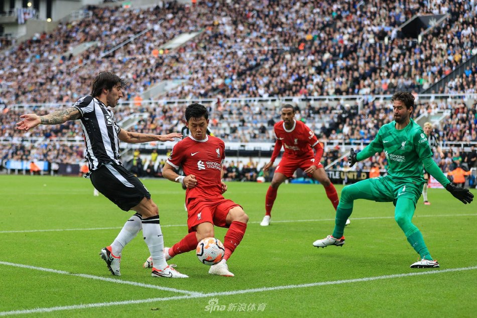 年里的灵活 年里的灵活